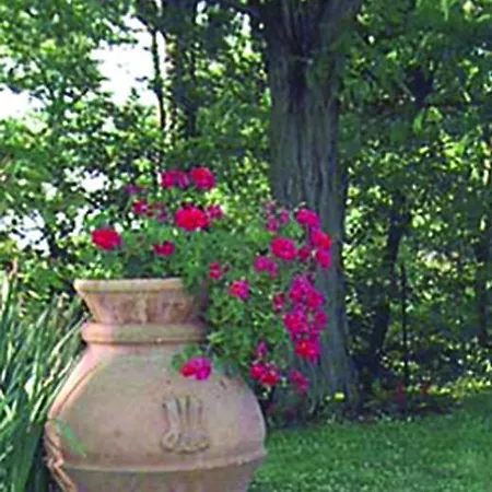 Villa La Bambagina Sorbigliana *